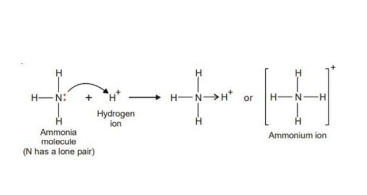 Hydrogen nitrate